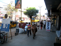 on Alagar Koil: Madurai street scene