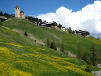 Lohn 3