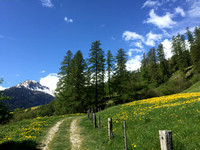path to Lohn 1